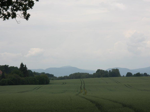 Blick zum Hochwald