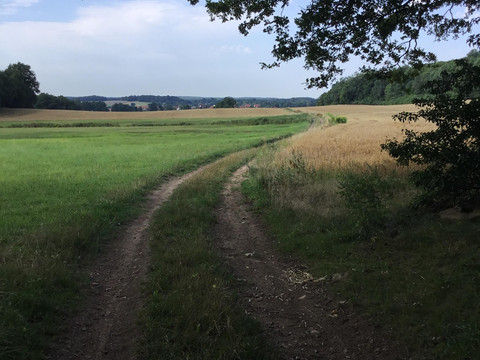 Landschaft bei Bärnsdorf