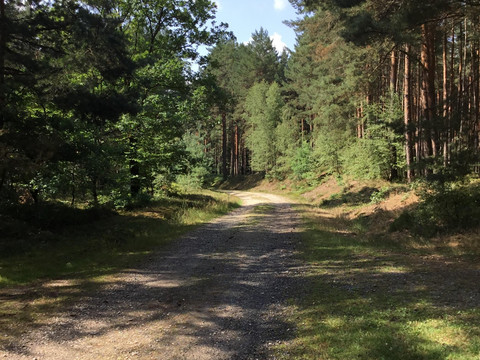 Laußnitzer Heide