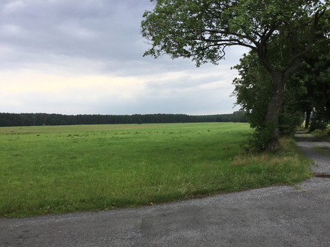 Laußnitzer Heide