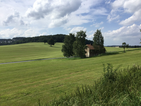 Landschaft bei Dührröhrsdorf-Dittersbach