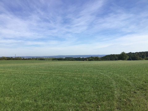Aussicht nach Norden über das Dresdner Elbtal