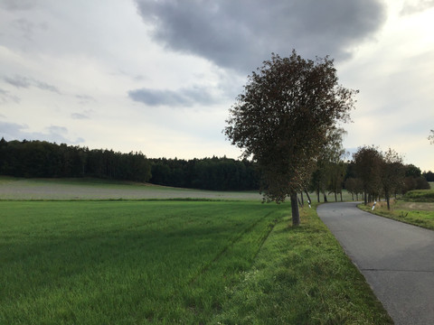 Landschaft bei Porschendorf