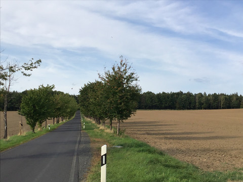 Straße bei Mühlsdorf