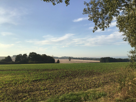 Schönfelder Hochland