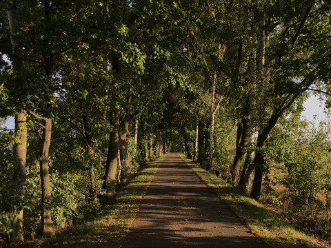 Alter Bahndamm bei Weißig
