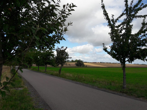 Landschaft bei Kleinopitz