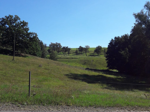 Saubauchtal bei der Neudeckmühle