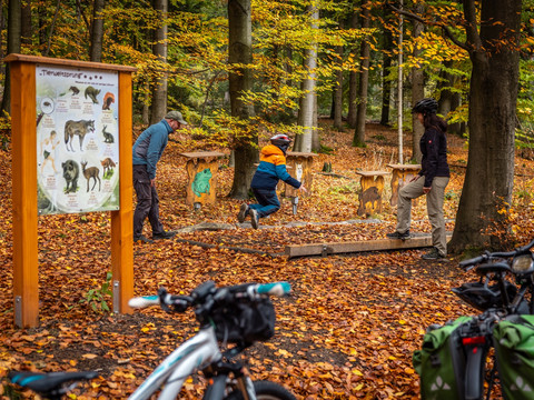 Natur-Erlebnis-Pfad am Butterberg
