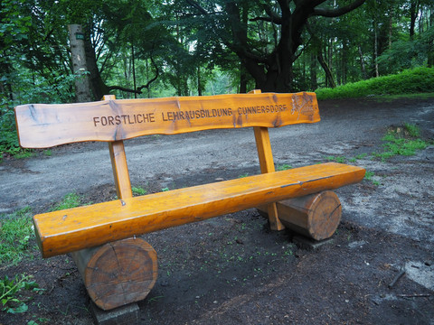 Bank-Forstliche Lehrausbildung