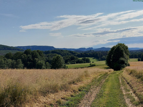Wanderweg nach Ottendorf
