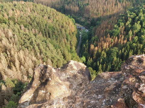 Aussicht vom Großstein zur Felsenmühle