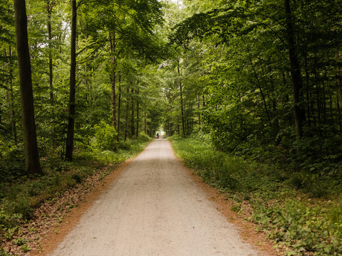 Fahrt über den Steinernen Weg in den Friedewald