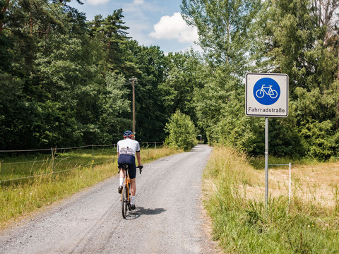 Fahrradstraße durch den Friedewald