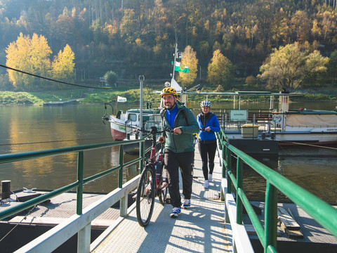 Fähre Schmilka mit Fahrradfahrern