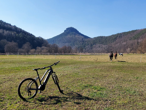 Lilienstein und Pferdeweide