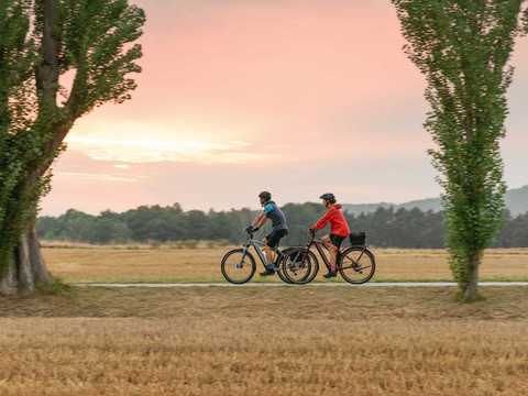 Radweg am Lilienstein