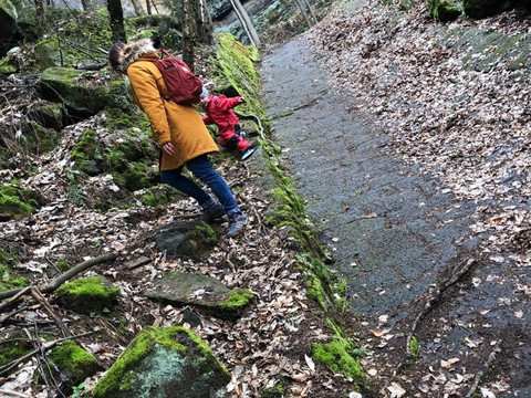 Steiner Abhang Gelobtbachtal