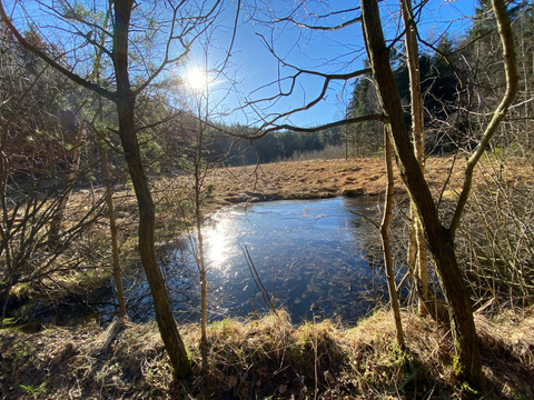 Flächennaturdenkmal Kochemoor