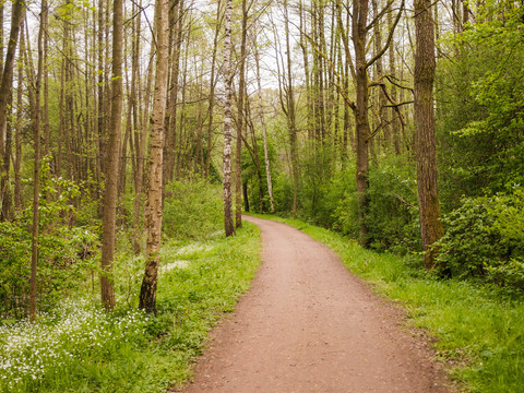 Radwege durch die Natur - hier ehem. Schmalspurbahnstrecke bei Helbigsdorf