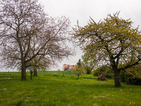 Ehemalige Mühle in Kaufbach