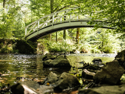 Die Röder im Seifersdorfer Tal