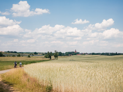 Blick vom Dippelsdorfer Teich in Richtung Moritzburg