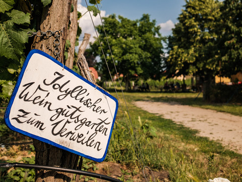 Garten beim Winzer Aust in Radebeul