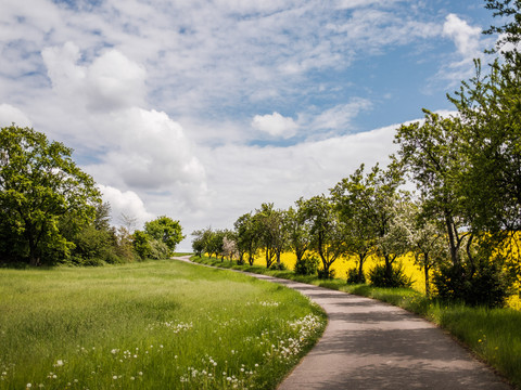 Radweg bei Taubenheim
