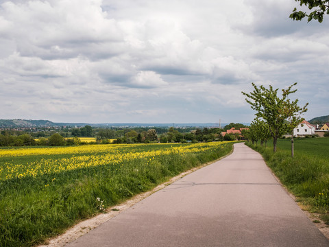 Ausblick ins Elbtal bei Constappel