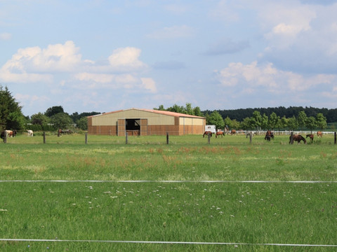 Reithalle und Koppeln