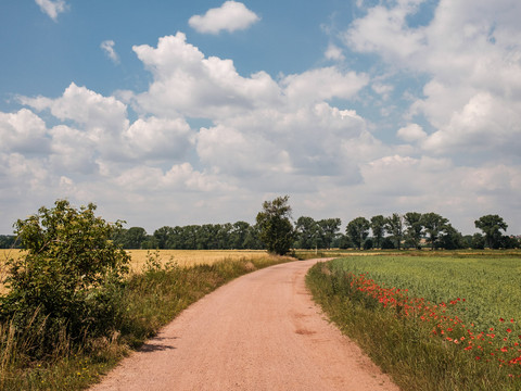 Radweg durch das Landschaftsschutzgebiet Nassau