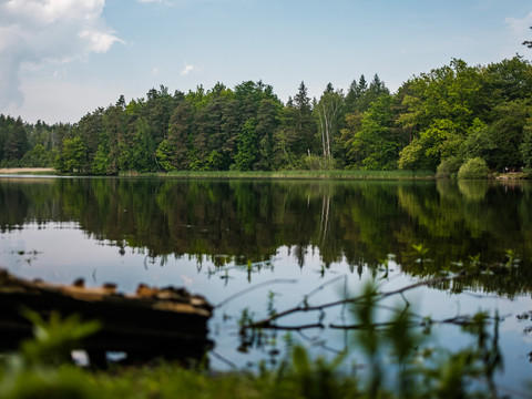 Am unteren Altenteich in Moritzburg