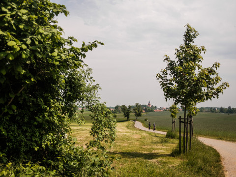 Radfahren am Dippelsdorfer Teich mit Blick auf Moritzburg