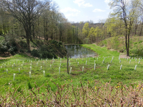 Schlosspark Proschwitz
