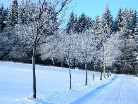 Loipeneinstieg hinterm Haus