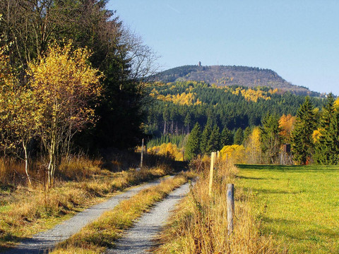 12032787_1126173114079174_8482298726019898341_o