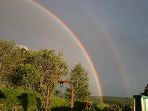 Natur pur vom Balkon