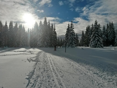 Am Spitzberg_web_Bildgröße ändern