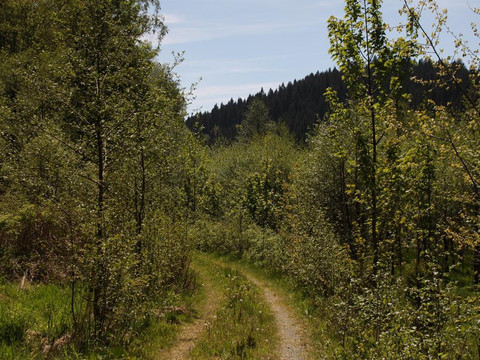 IMG_4584_Bildgröße ändern