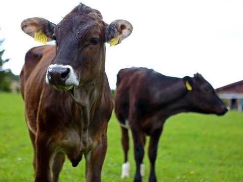 _MG_3381_Bildgröße ändern