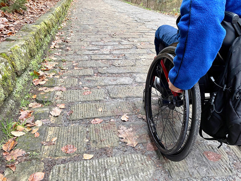 Sandsteinpflaster auf der Promenade entlang des Amselsees