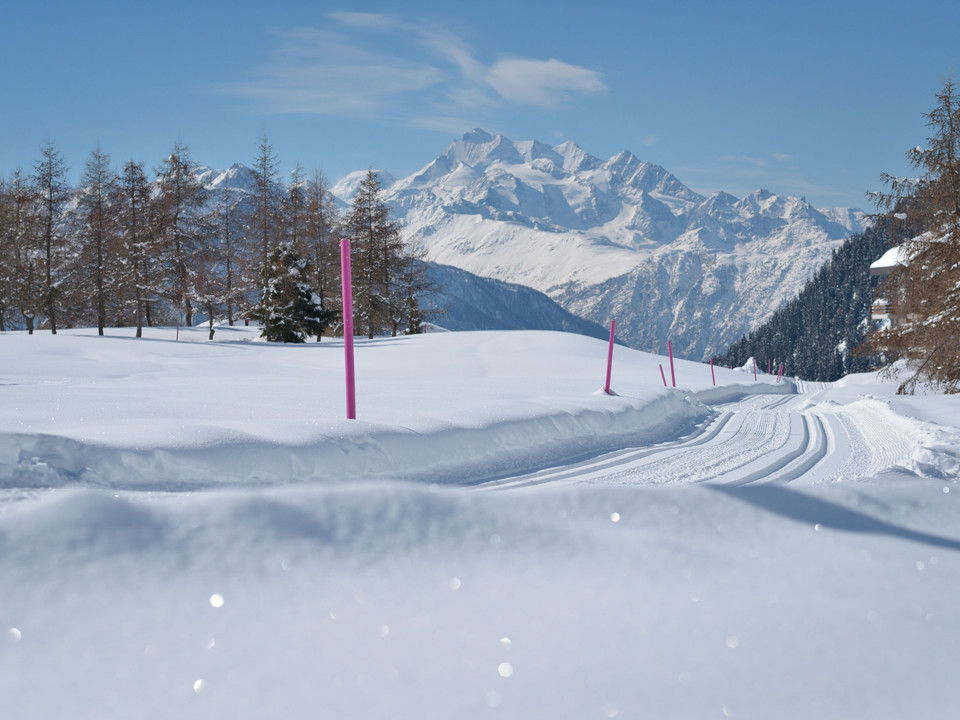 Langlauf auf der Riederalp in der Aletsch Arena