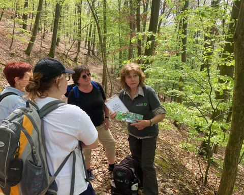 Auf dem Urwaldsteig-Edersee mit der Gastgeberin , Nationalparkführerin