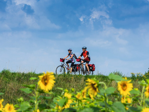 Elberadweg bei Radebeul