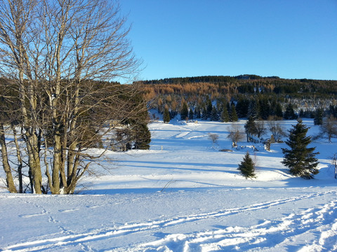 Blick auf den ehemaligen Ort Königsmühle