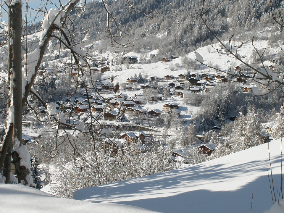 Winterwanderung Fiesch - Fieschertal und zurück