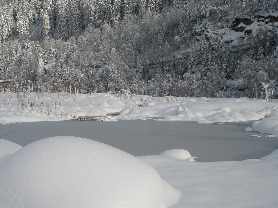Winterwanderung Fiesch - Fieschertal und zurück