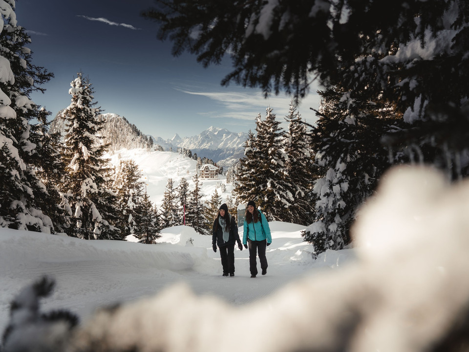 Winterwanderweg Moosfluh - Riederalp