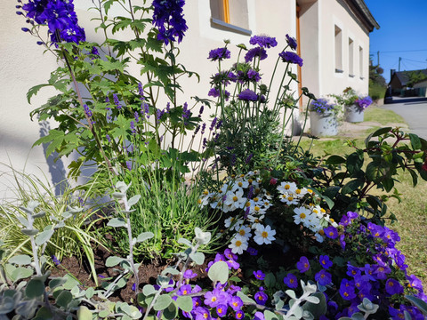 Bepflanzung - Sommer